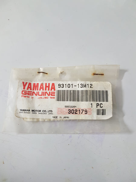 Yamaha 93101-13M12