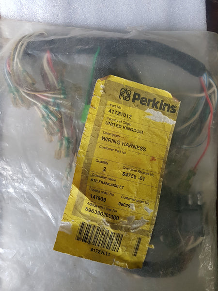 Perkins 4172V012 - Wiring harness