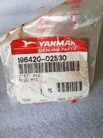 Yanmar drain Plug M10